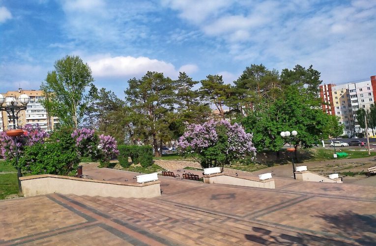 Макдональдс, ділери і амбасадори Обухова