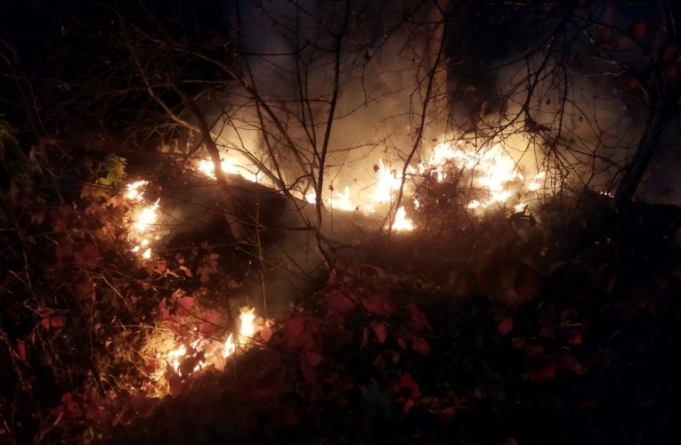 В Мятяшівці ліквідували пожежу