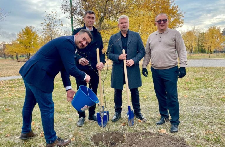 Обухівська районна державна адміністрація разом з лісівниками продовжують висадження дерев в громадах району