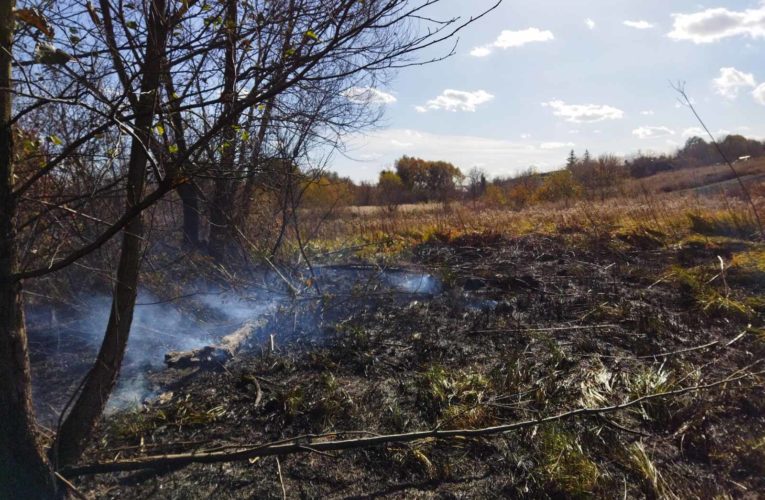 В Красній Слобідці горіла трава