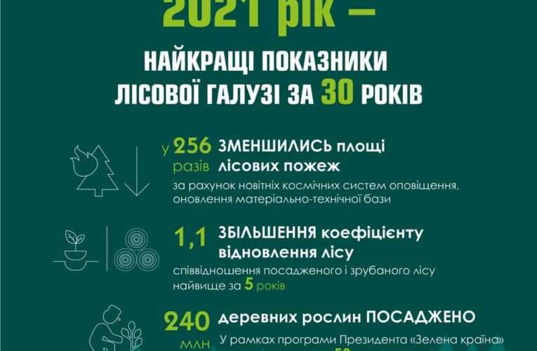 Підприємства Держлісагентства сплатили майже 9 мільярдів податків у бюджет за 2021 рік