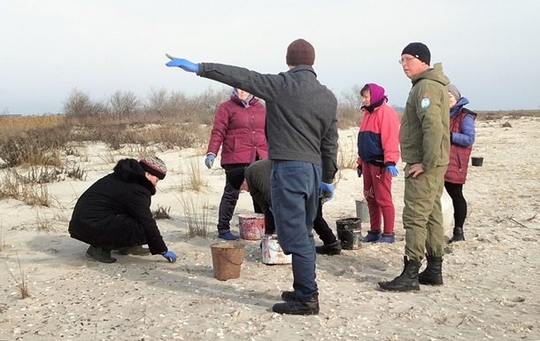 На узбережжі Одещини зібрали понад 400 кг мазуту