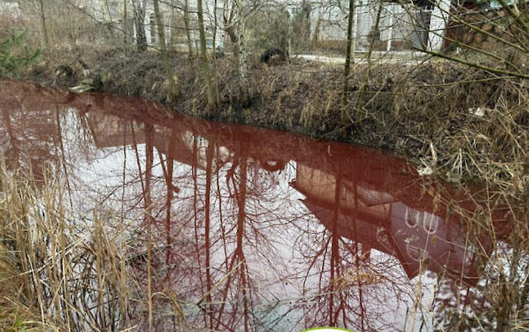 В селі неподалік Обухова виявили рожеву водойму: що кажуть екологи